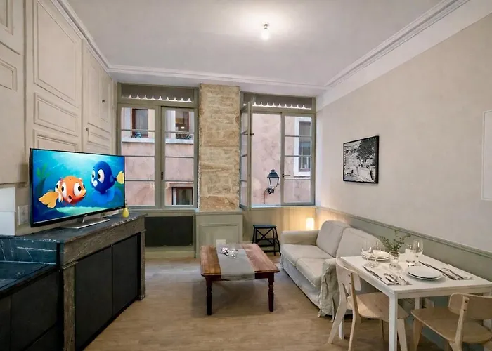 Appartement Le Cachet Lyonnais